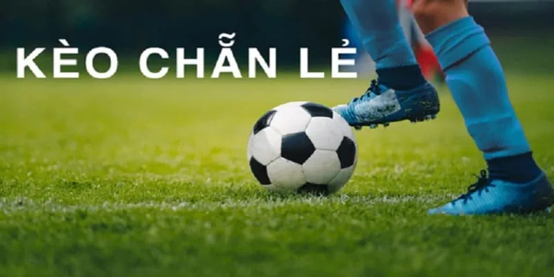 Các Loại Kèo Chẵn Lẻ